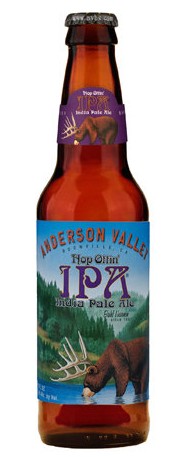 Anderson IPA