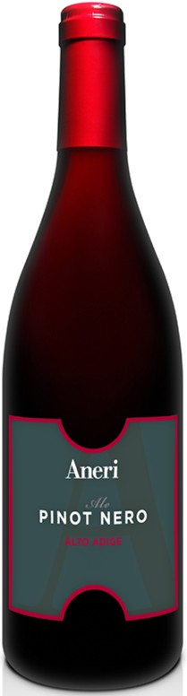 Aneri Pinot Nero Ale 2014