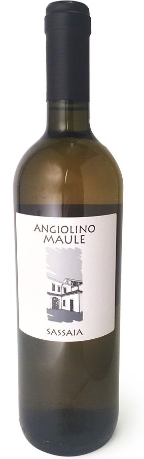 Angiolino Maule Sassaia