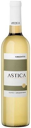 Astica Torrontes
