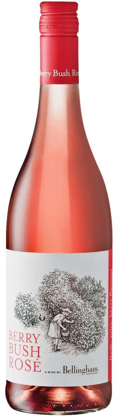 Bellingham Berry Bush Rose