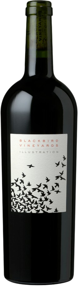 Blackbird Illustration