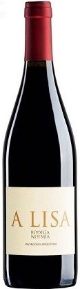 Bodega Noemia A Lisa