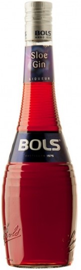 Bols Sloe