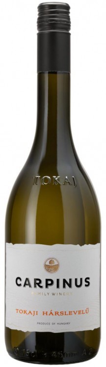 Carpinus Tokaji Harslevelu