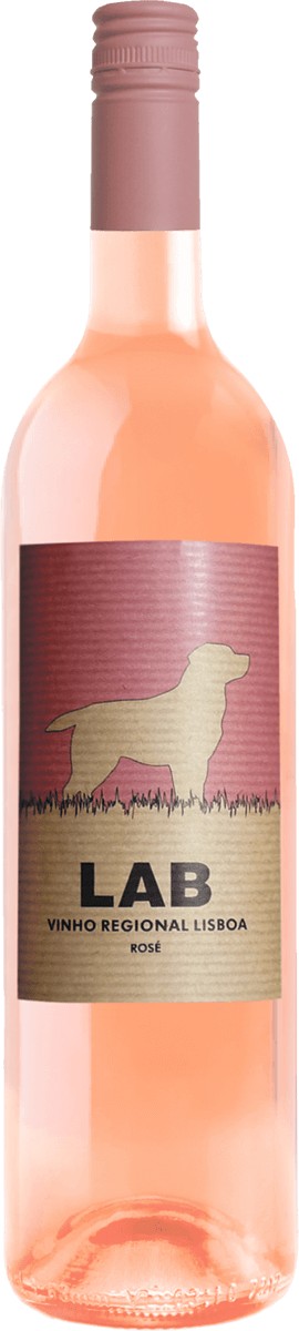 Casa Santos Lima Rose