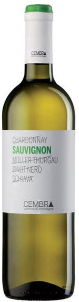 Cembra Cantina di Montagna Sauvignon Blanc 2013