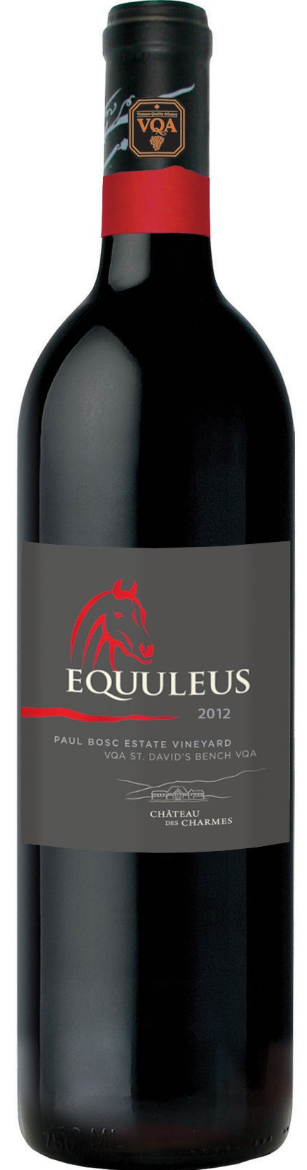 Ch̢teau Des Charmes St. David's Bench Vineyard Cabernet Franc 2012