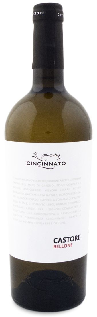 Cincinnato Castore Bellone 2013