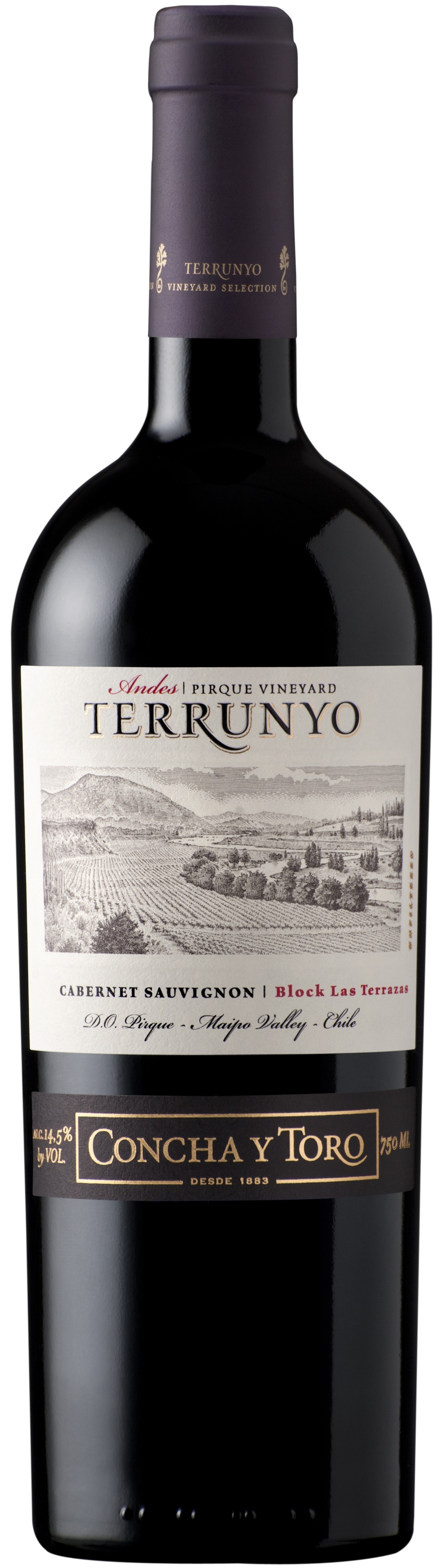 Concha Y Toro Terrunyo Cabernet Sauvignon 2014