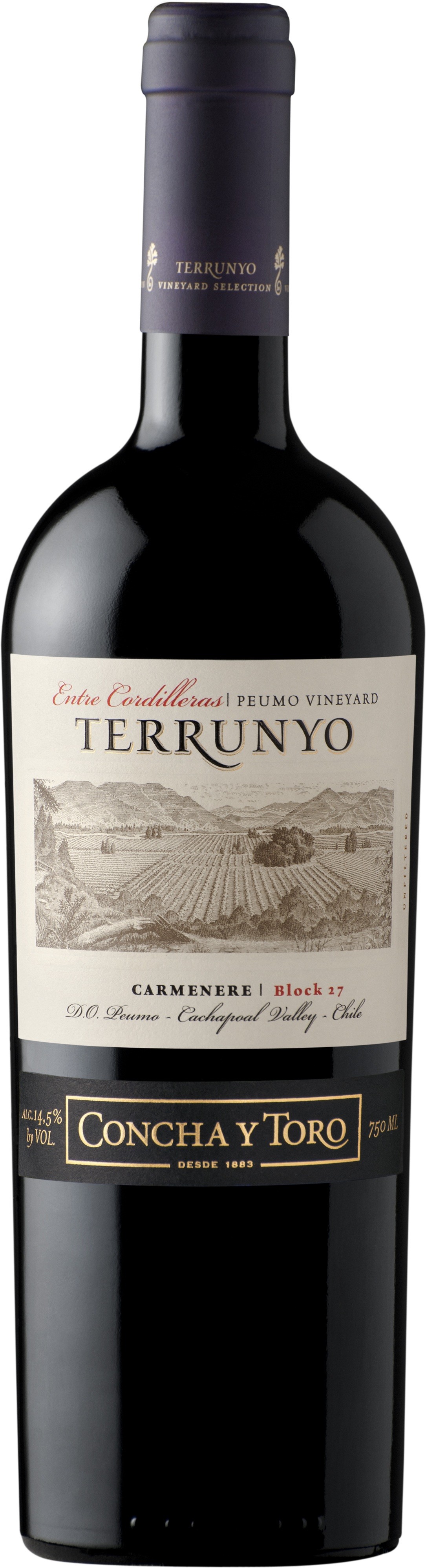 Concha y Toro Terrunyo Carmenere