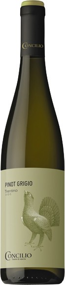 Concilio Pinot Grigio Trentino DOC