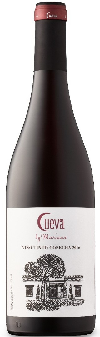 Cueva by Marciano 2016