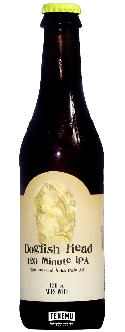 Dogfish Head 120 Minute IPA