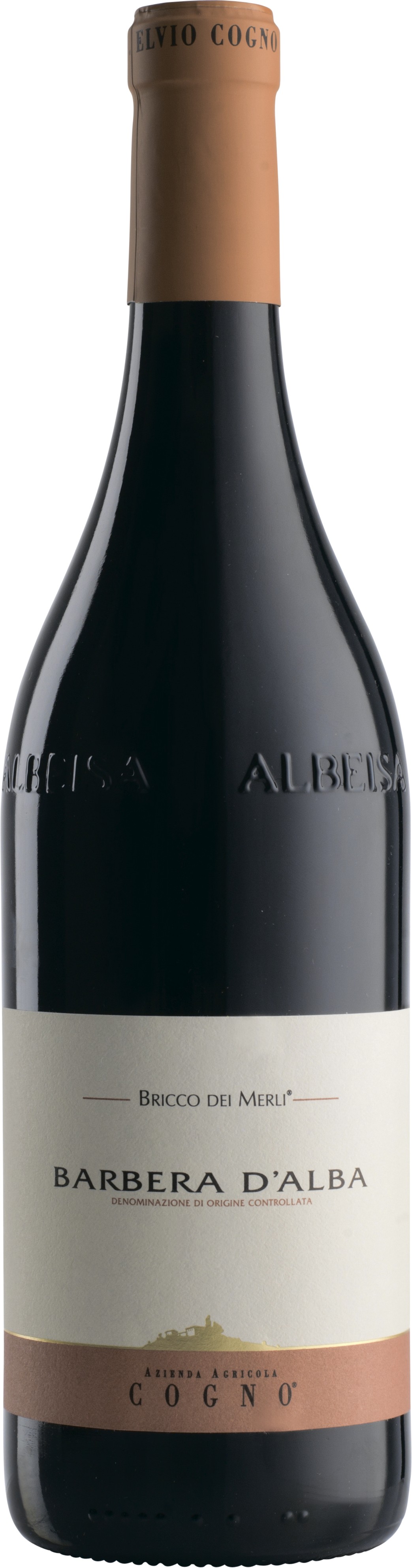 Elvio Cogno Bricco dei Merli Barbera 2017