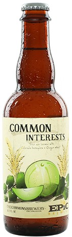 Epic Brewing Honey Dew Melon Sour