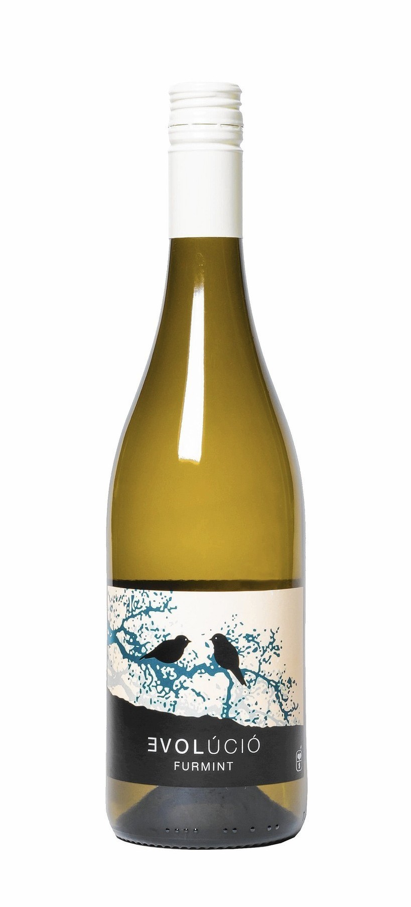 Evolucio Furmint 2013