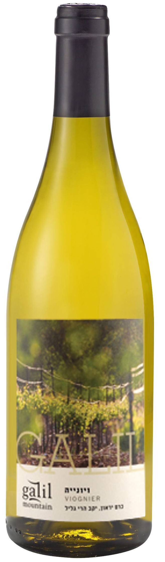 Galil Mountain Viognier