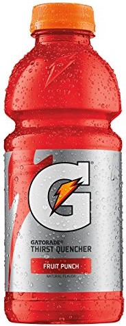 Gatorade Fruit Punch
