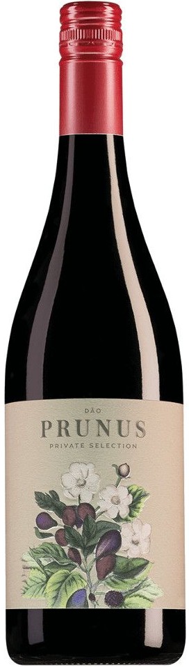 Gota Prunus Private Selection Tinto 2016