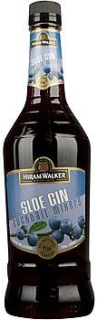 Hiram Walker Sloe Gin