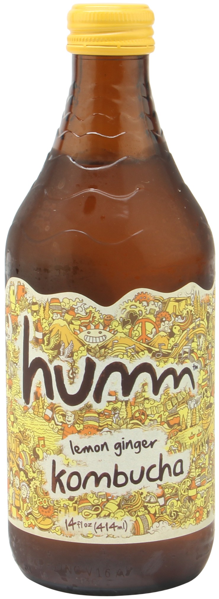 Humm Lemon Ginger Kombucha