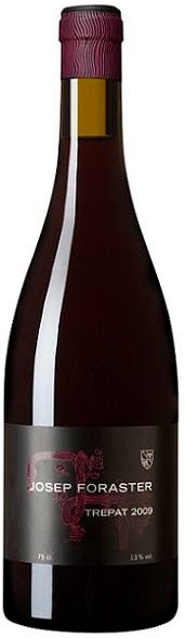 Josep Foraster Trepat 2012