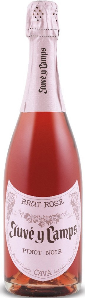 Juve & Camps Pinot Noir Reserva Brut Rose