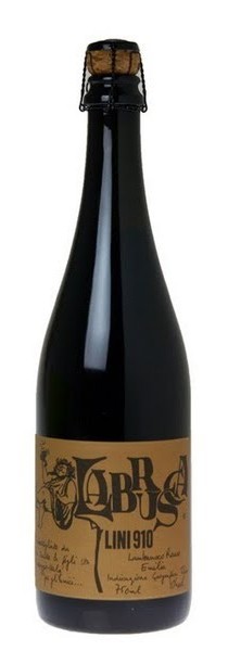 Lini 910 'Labrusca' Lambrusco Rose