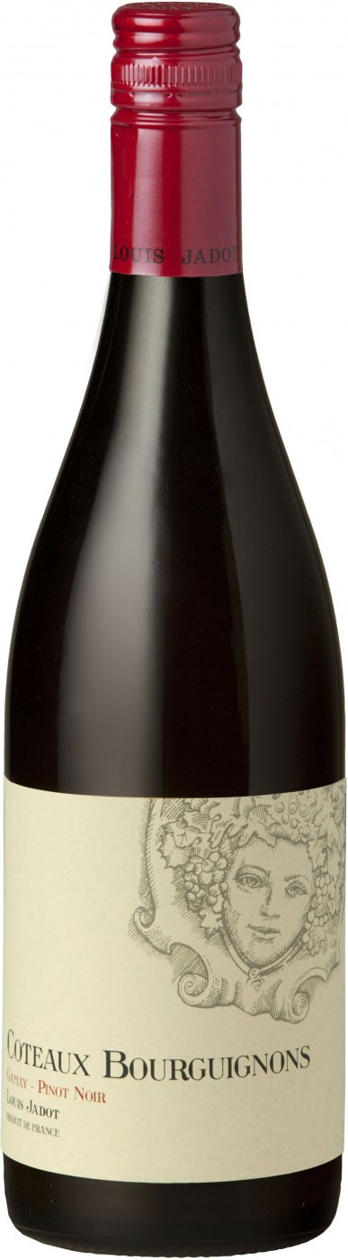 Louis Jadot Coteaux Bourguignons Gamay