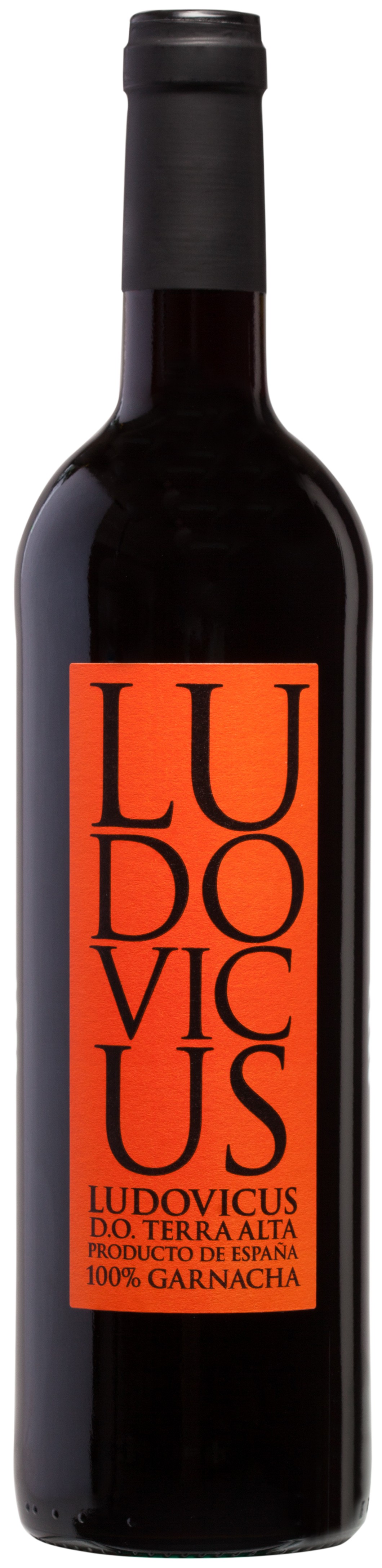 Ludovicus Tinto