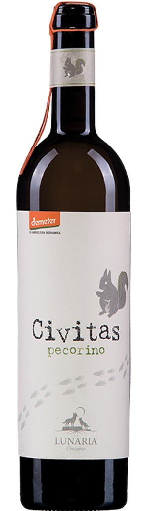 Lunaria Orsogna Civitas 2016