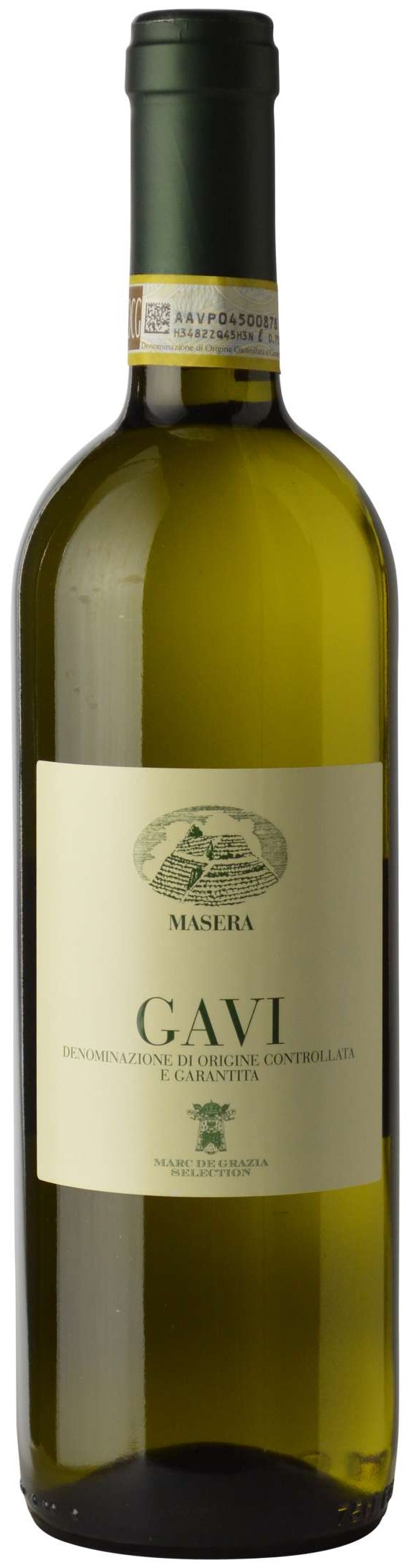 Masera Gavi 2012