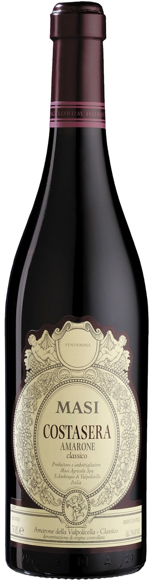 Masi Costasera Amarone Classico 2009