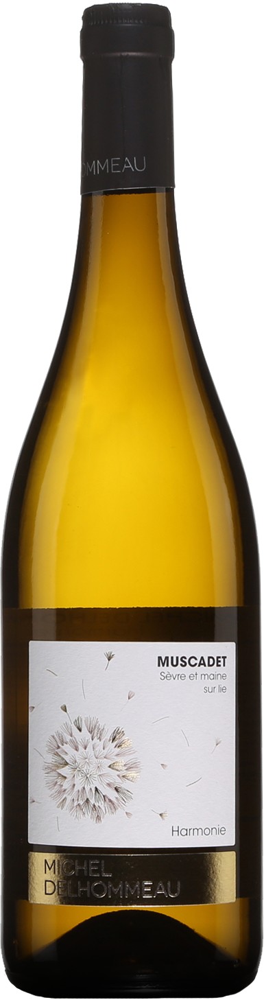 Michel Delhommeau Muscadet