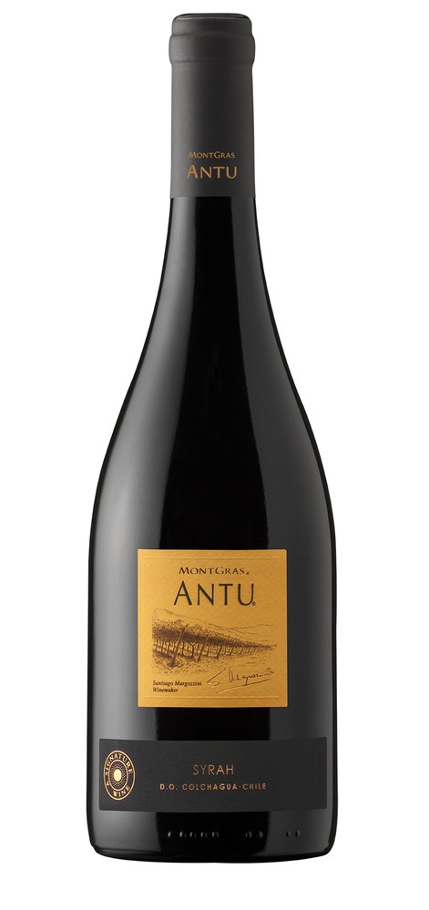 Montgras Ninquen Antu Syrah
