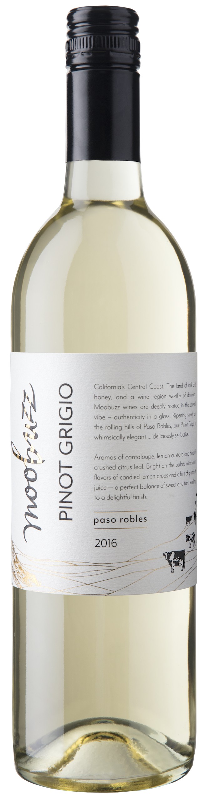 Moobuzz Pinot Grigio