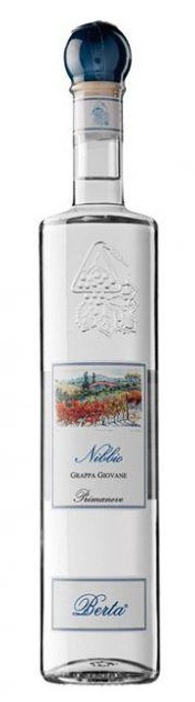 Nibbio Giovane Berta