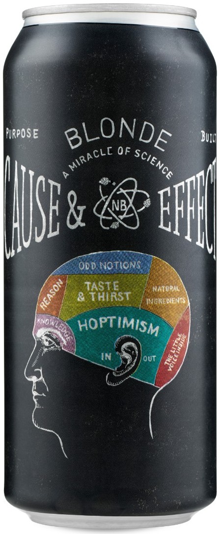 Nickel Brook Cause & Effect