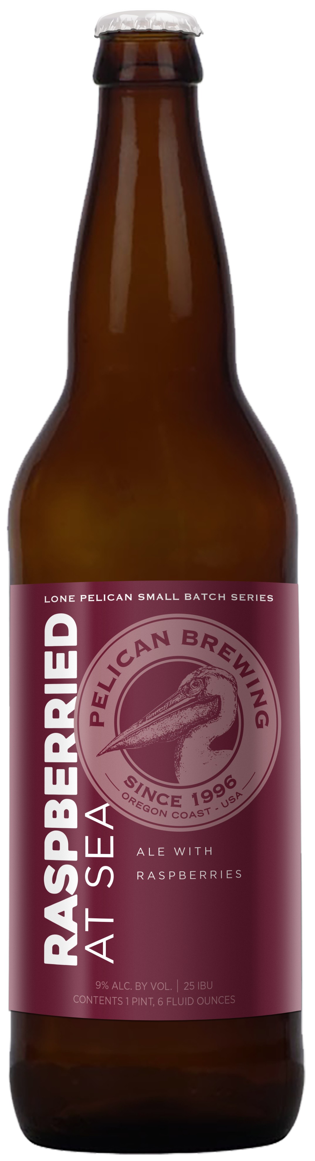 Pelican Raspberried at Sea