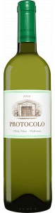 Protocolo Blanco 2008
