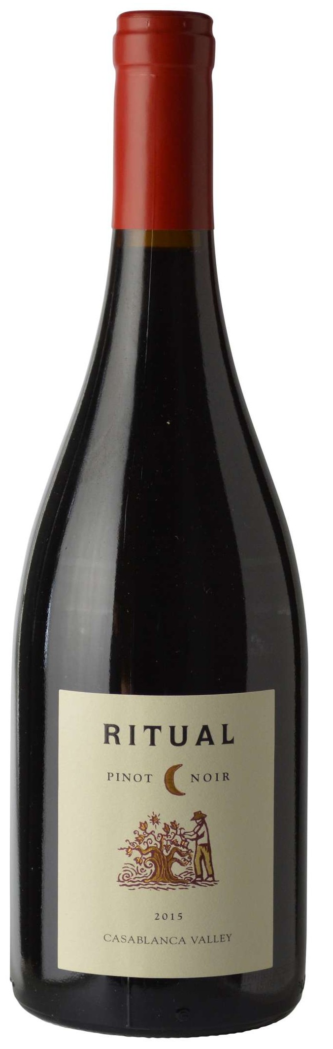 Ritual Casablanca Valley Pinot Noir