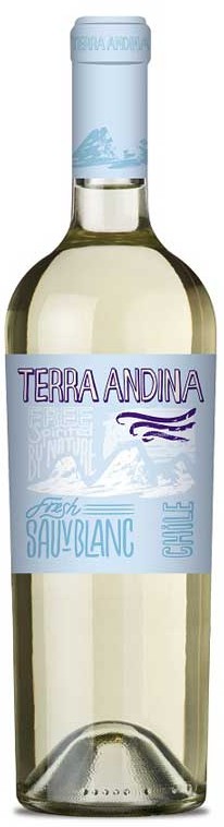 Terra Andina Sauvignon Blanc NV
