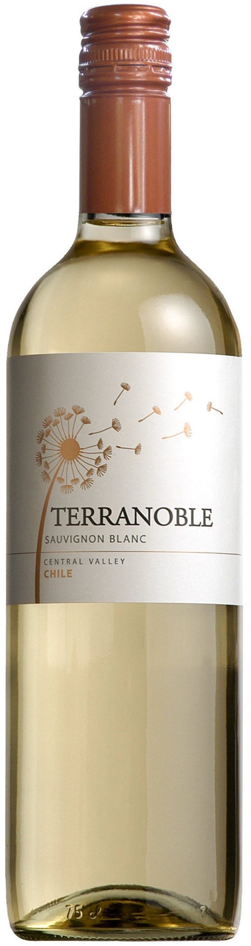 TerraNoble Sauvignon Blanc 2014