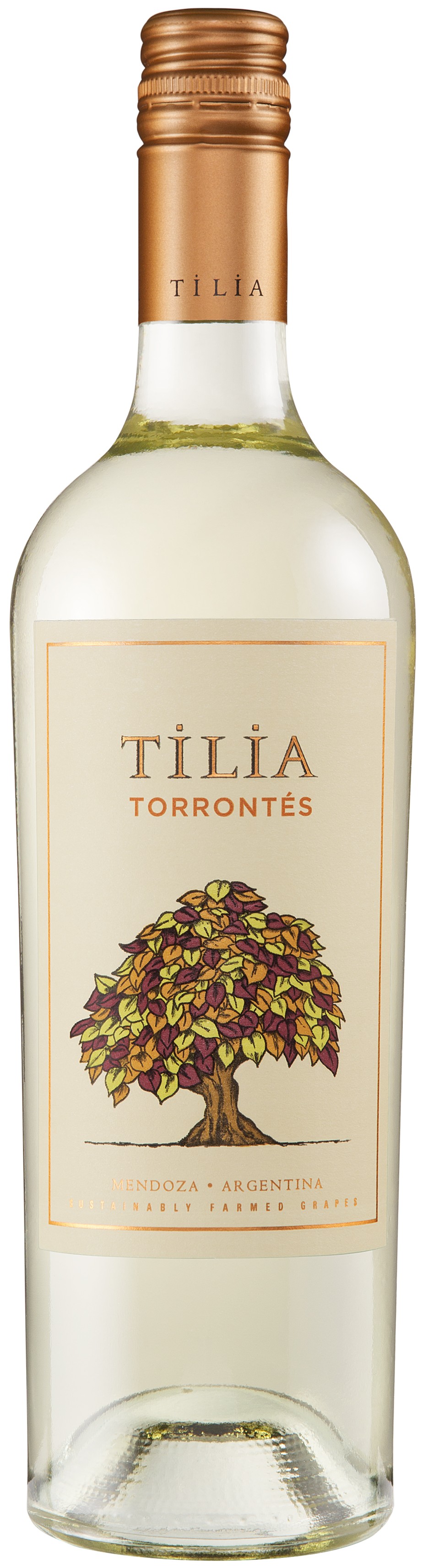 Tilia Torrontes