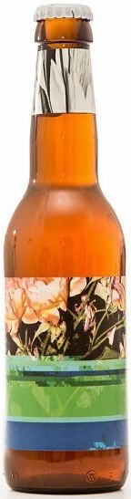 TO 0L Dangerously Close To Stupid