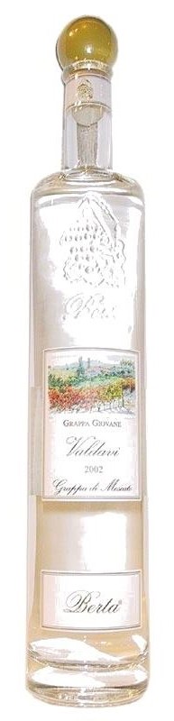 Valdavi Giovane Berta